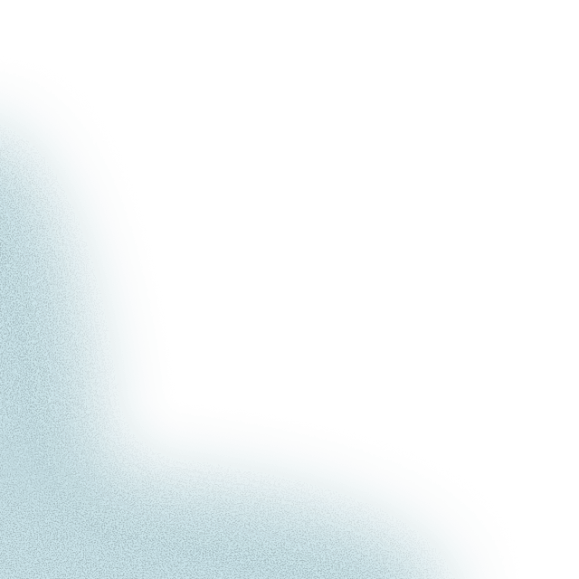 About the Foundation